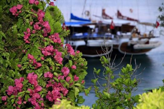 Marmaris Turgutköy Resimleri 10