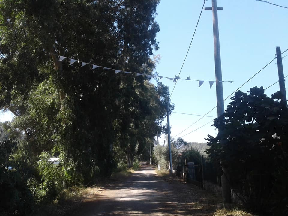 Marmaris Turgutköy Resimleri 17