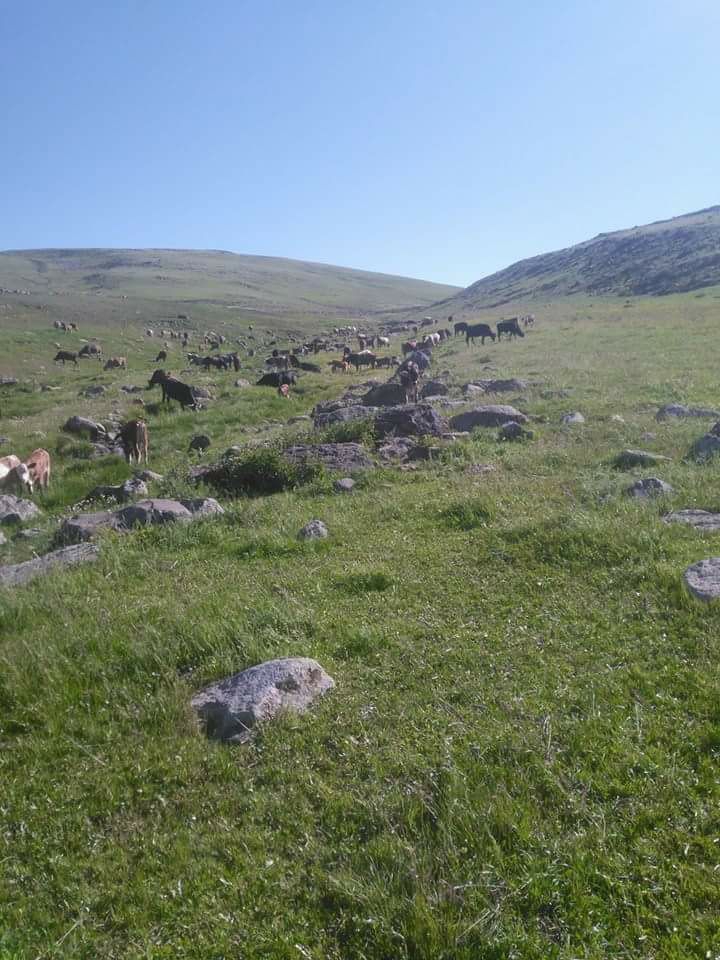 Susuz Porsuklu Köyü Resimleri 3