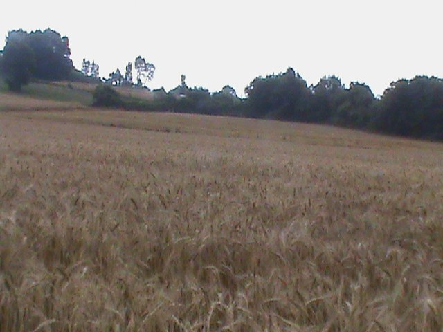 Alaçam Aşağıakgüney Köyü Resimleri 6