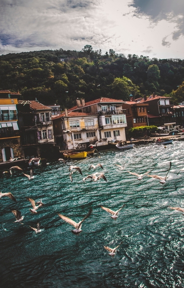 Merkez Kırkpınar Köyü Resimleri 1