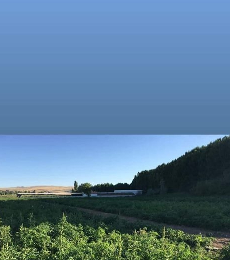 Merkez Kocabey Köyü Resimleri 1