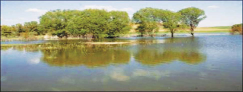 Merkez Kocabey Köyü Resimleri 2