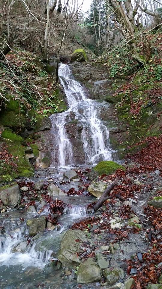 Alaçam Aşağıısırganlı Köyü Resimleri 12