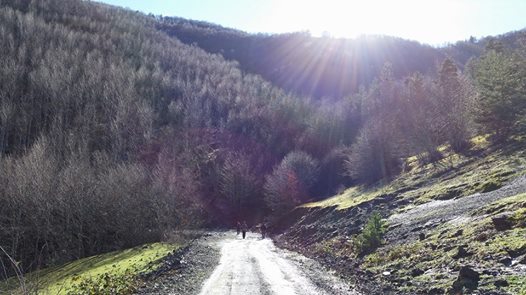 Alaçam Aşağıısırganlı Köyü Resimleri 3