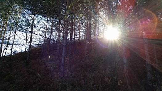 Alaçam Aşağıısırganlı Köyü Resimleri 4
