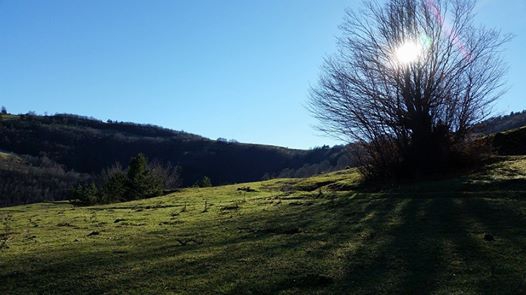 Alaçam Aşağıısırganlı Köyü Resimleri 5