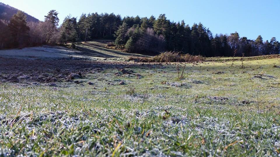Alaçam Aşağıısırganlı Köyü Resimleri 7