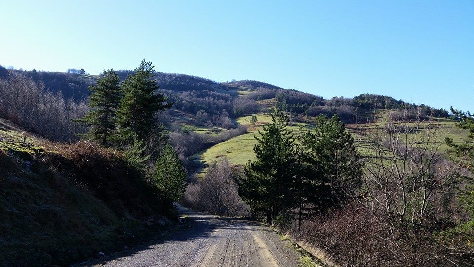 Alaçam Aşağıısırganlı Köyü Resimleri 8