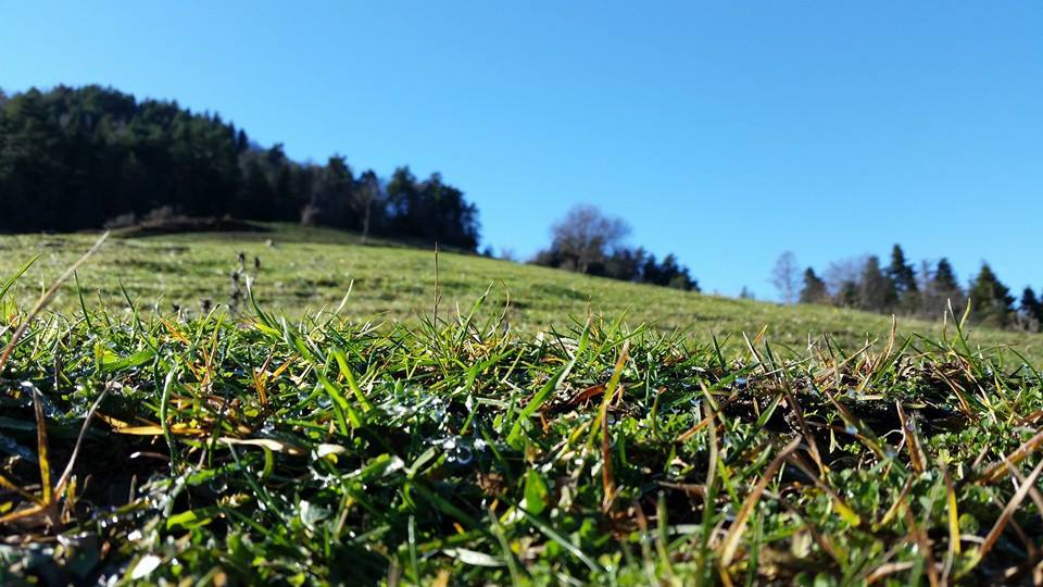 Alaçam Aşağıısırganlı Köyü Resimleri 9