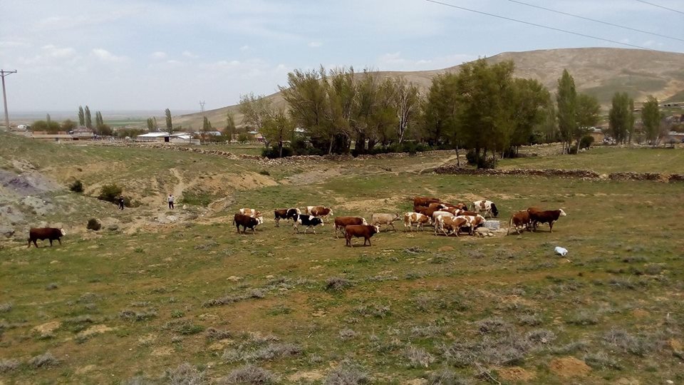 Akşehir Meydan Köyü Resimleri 10