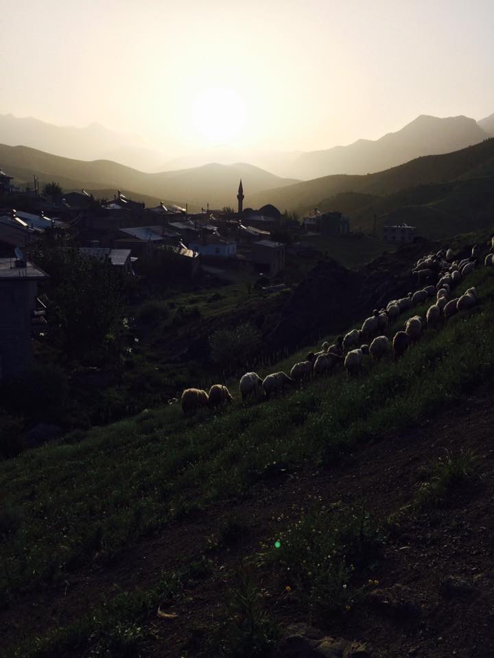 Adana Pozantı Yağlıtaş Köyü Resimleri 19