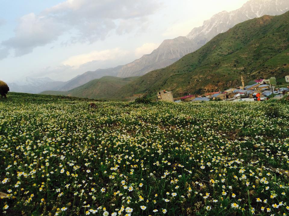Adana Pozantı Yağlıtaş Köyü Resimleri 21
