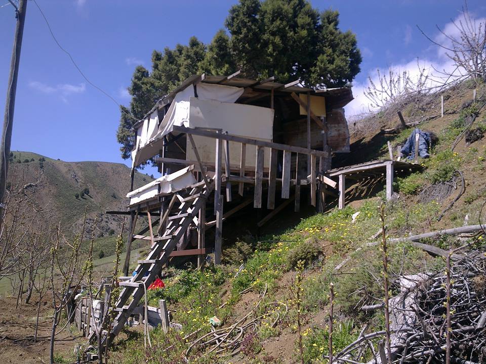 Adana Pozantı Yağlıtaş Köyü Resimleri 3