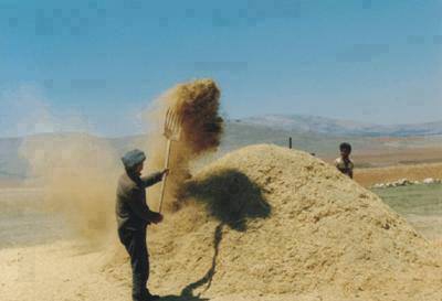 Adana Pozantı Yağlıtaş Köyü Resimleri 32
