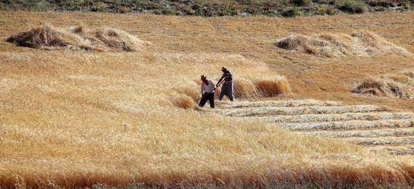 Adana Pozantı Yağlıtaş Köyü Resimleri 34