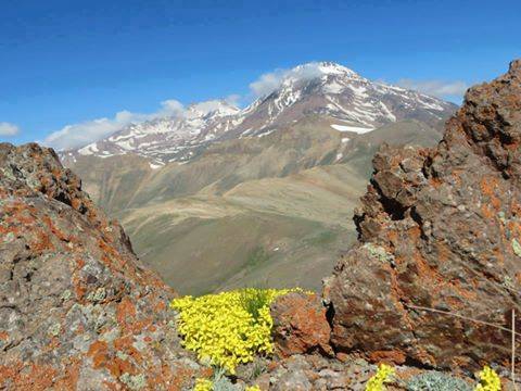 Adana Pozantı Yağlıtaş Köyü Resimleri 35