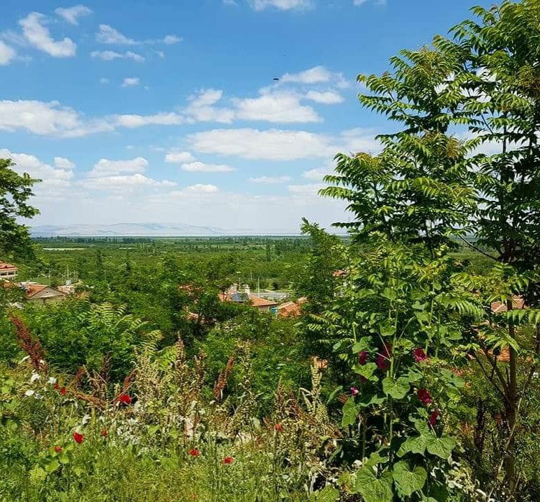 Akşehir Ulupınar Köyü Resimleri 6