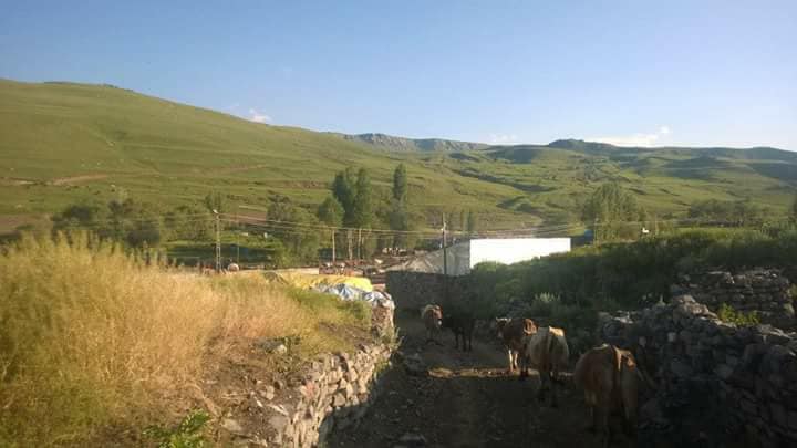 Kars Alçılı Köyü Resimleri 2