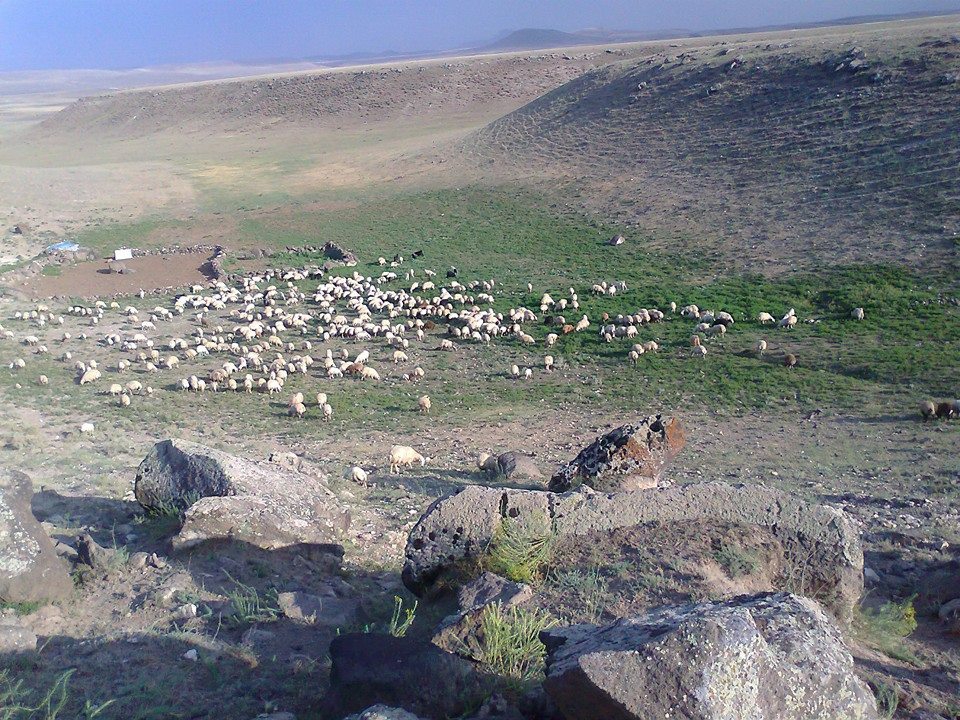 Kars Arazoğlu Köyü Resimleri 1