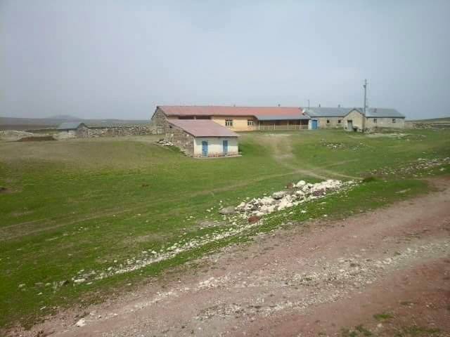 Kars Arazoğlu Köyü Resimleri 4