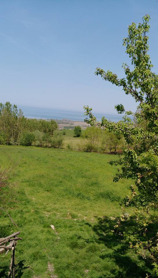 Alaçam Etyemez Köyü Resimleri 15