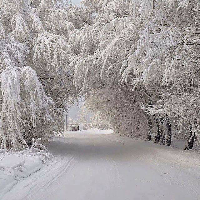 Alaçam Etyemez Köyü Resimleri 7