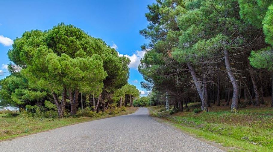 Alaçam Göçkün Köyü Resimleri 11