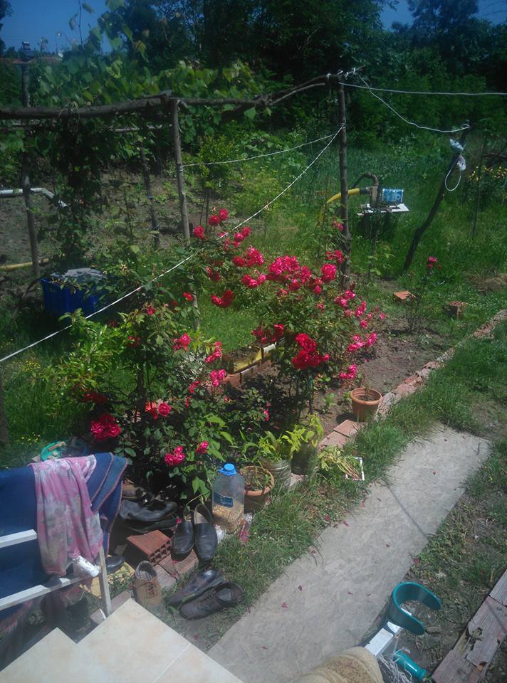 Alaçam Göçkün Köyü Resimleri 12