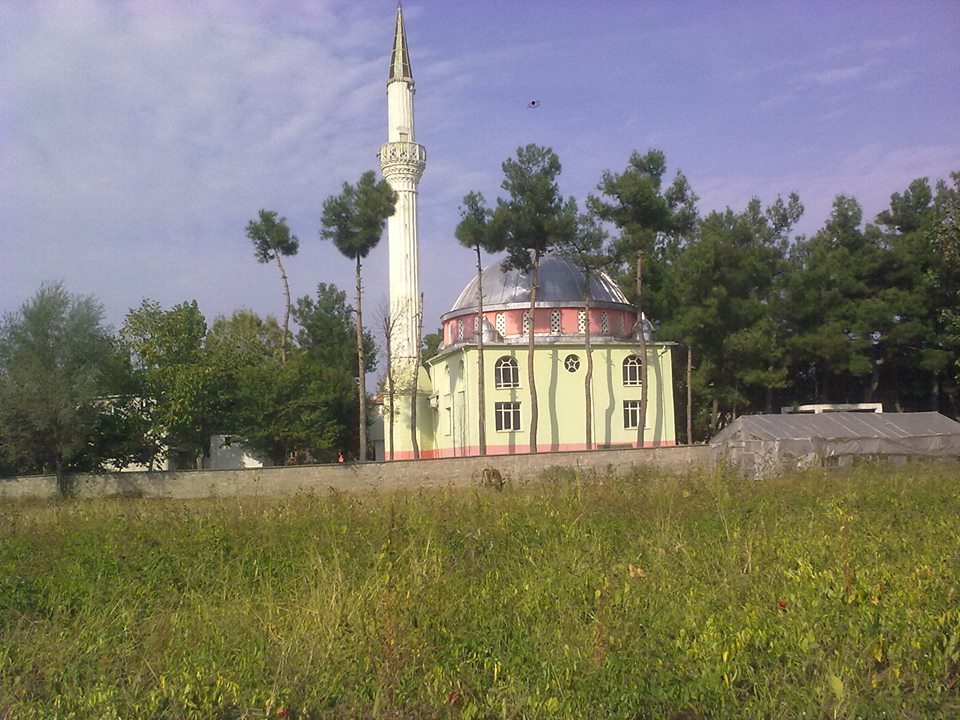 Alaçam Göçkün Köyü Resimleri 13