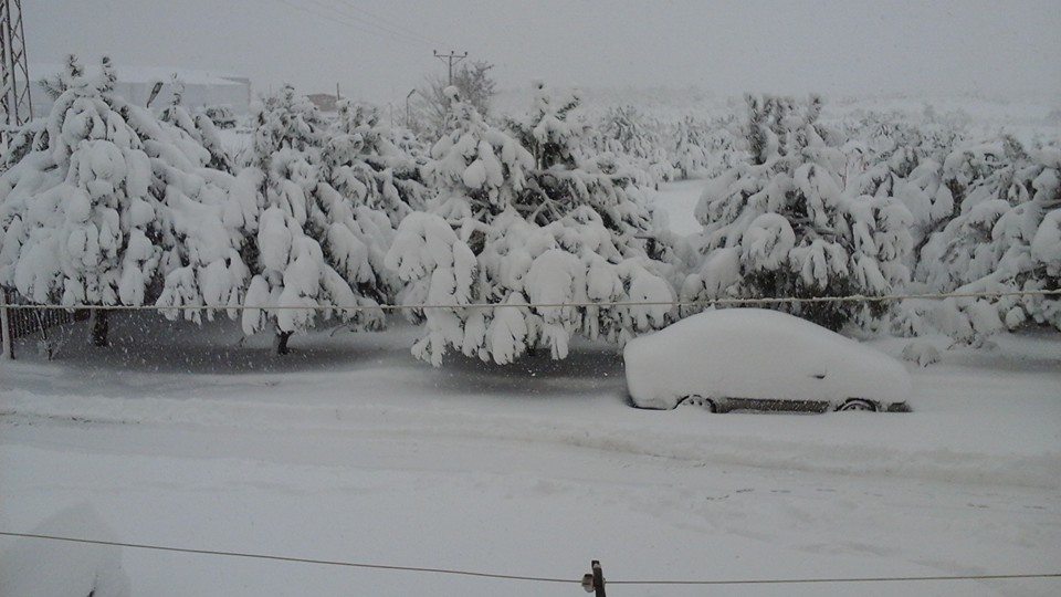 Alaçam Göçkün Köyü Resimleri 16