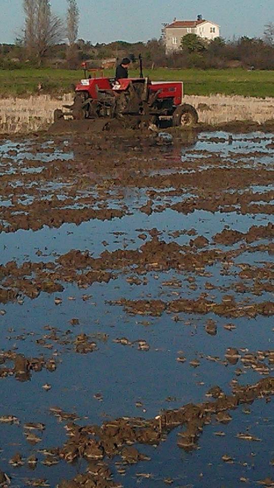 Alaçam Göçkün Köyü Resimleri 3