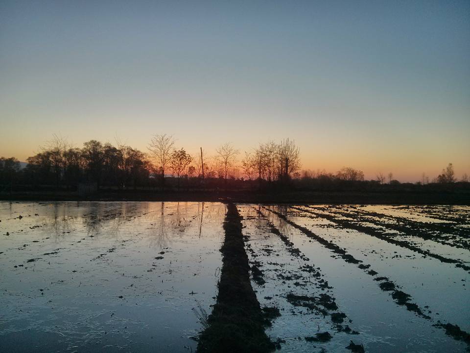 Alaçam Göçkün Köyü Resimleri 6
