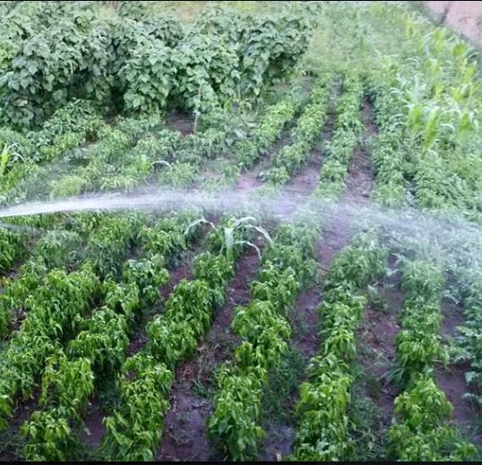 Alaçam Göçkün Köyü Resimleri 7