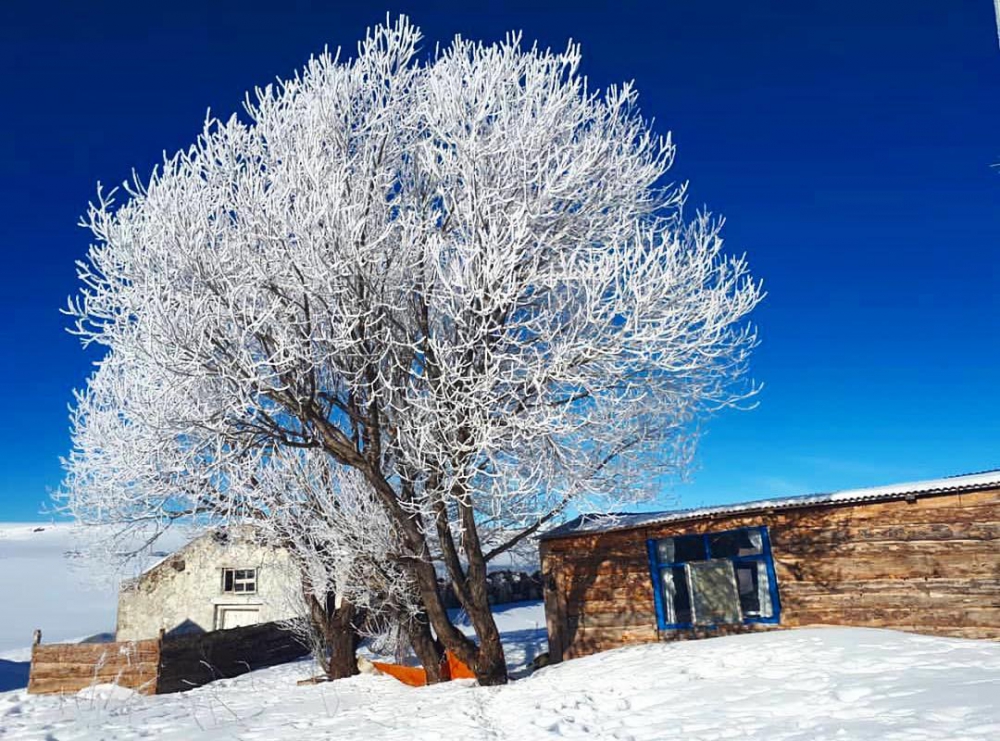 Kars Boğatepe Köyü Resimleri 5