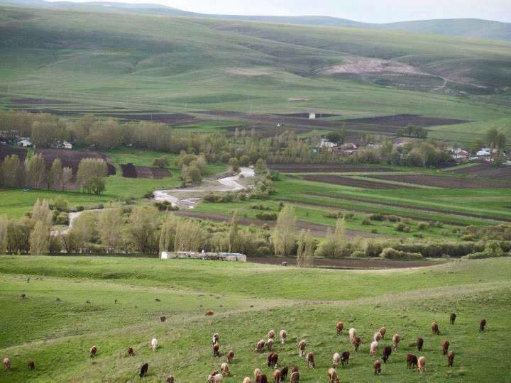 Kars Boğazköy Köyü Resimleri 1