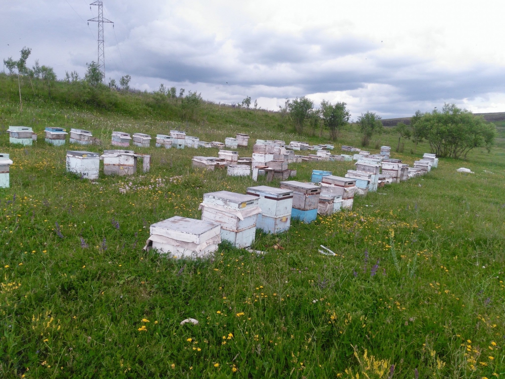 Kars Boğazköy Köyü Resimleri 3