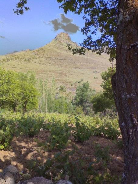 Merkez Çayağzı Köyü Resimleri 6