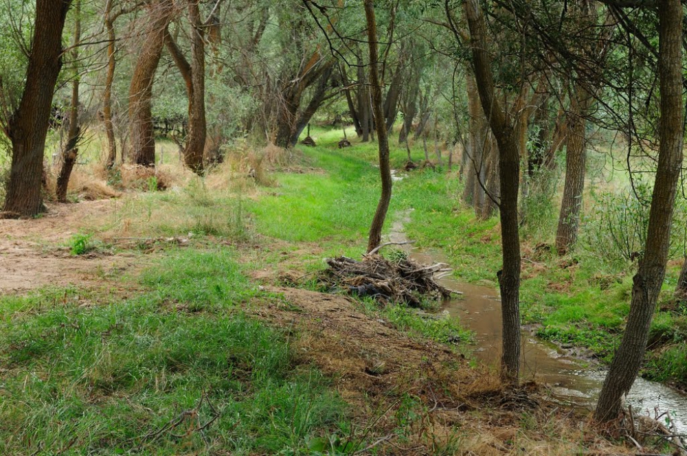 Merkez Dulkadirli Köyü Resimleri 4