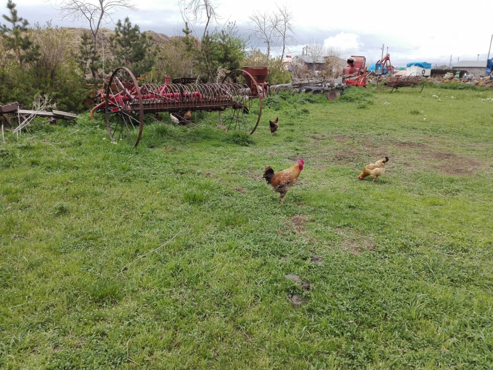 Kars Derecik Köyü Resimleri 14
