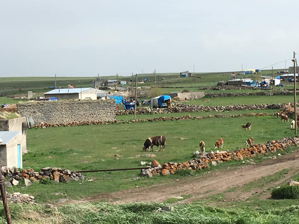 Kars Esenyazı Köyü Resimleri 11