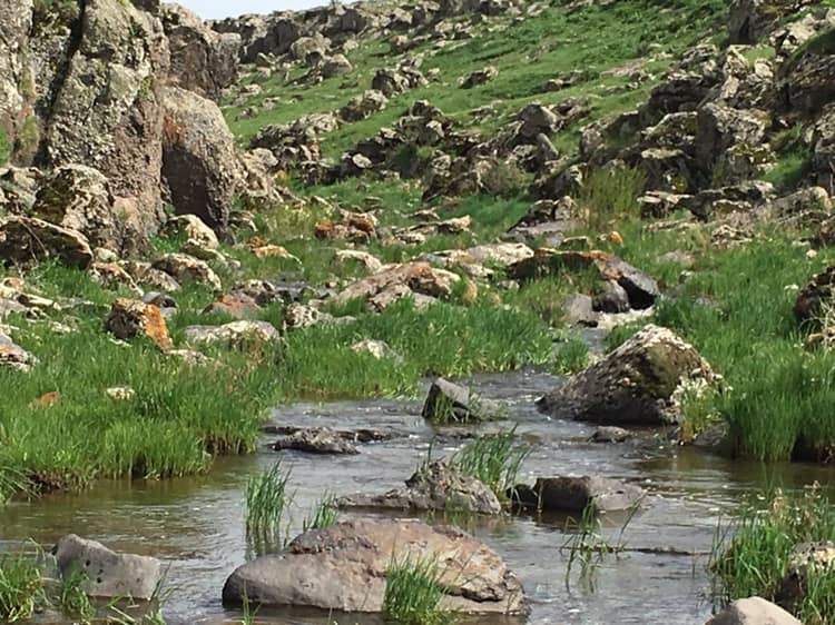 Kars Esenyazı Köyü Resimleri 3