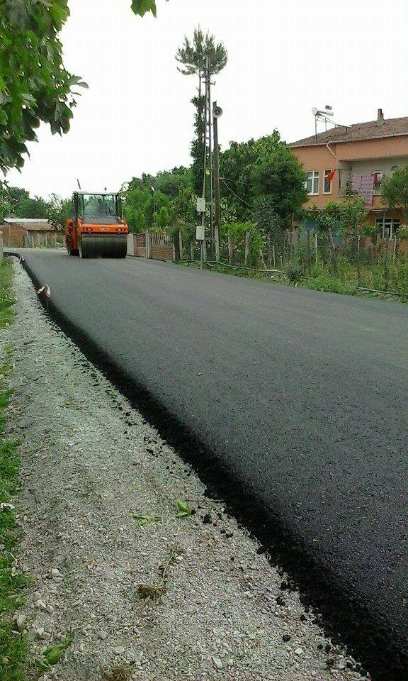 Alaçam Gökçeboğaz Köyü Resimleri 14