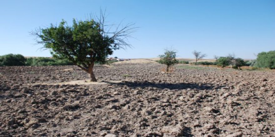 Akpınar Çayözü Köyü Resimleri