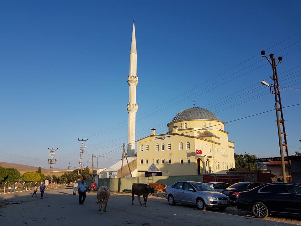 Akpınar Çiftlikmehmetağa Köyü Resimleri 1