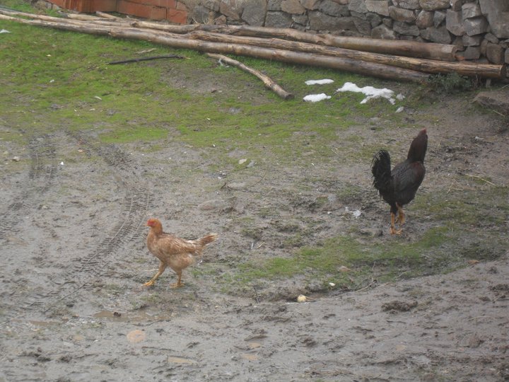 Akpınar Eldeleklidemirel Köyü Resimleri 4