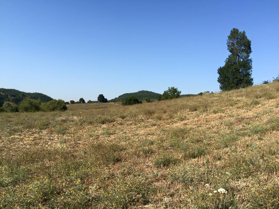 Altınova Ahmediye Köyü Resimleri 8