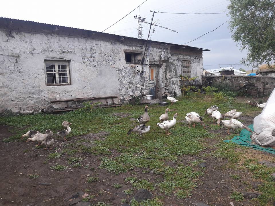 Kars Hasçiftlik Köyü Resimleri 13
