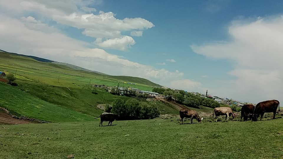 Kars Hasçiftlik Köyü Resimleri 5