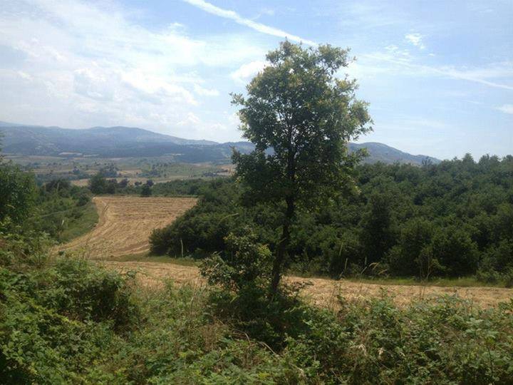 Altınova Aktoprak Köyü Resimleri 7